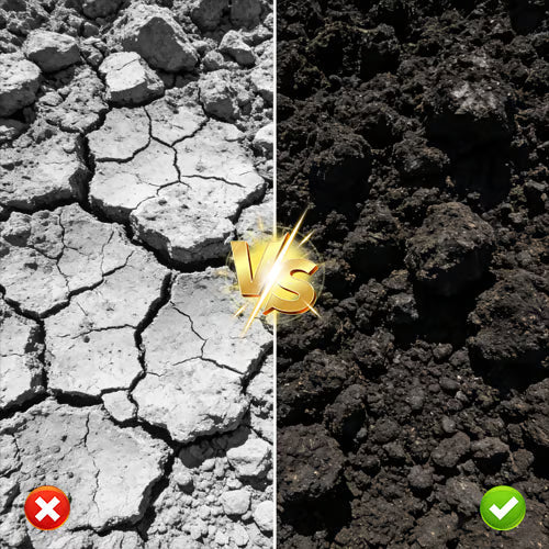 Activateur de Sol Pro – Boost Croissance Rapide